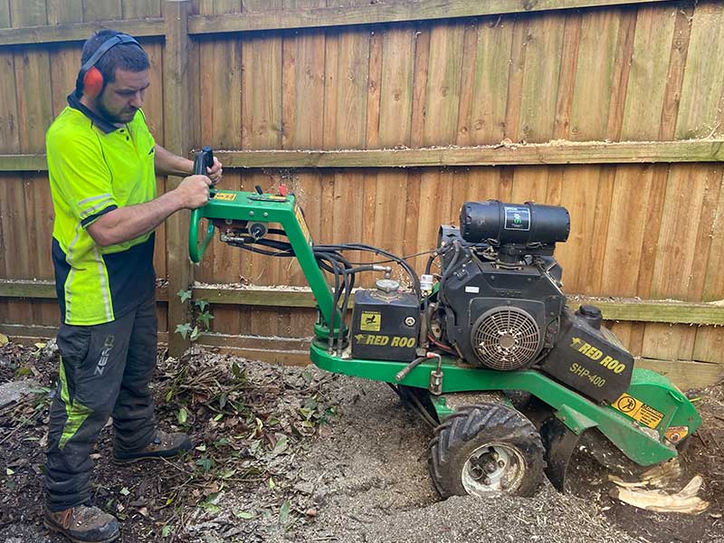 Stump-Removal-Melbourne